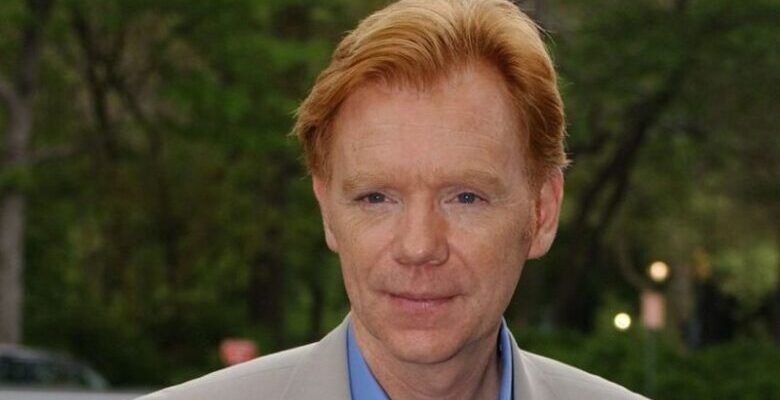 David Caruso Net Worth 2023